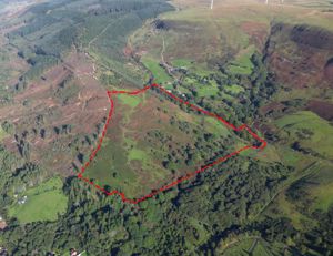 Photo 7- click for photo gallery